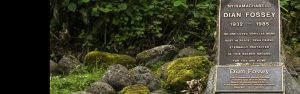 1-Day Dian Fossey Tomb Hike