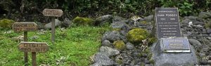 1-Day Explore Karisoke Research Center and Volcanoes NP