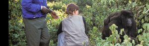 1-Day Gorilla Tracking Rwanda & Ellen Degeneres Campus
