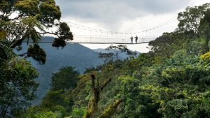 12 Days Rwanda and Uganda Tour