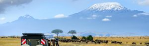 15-Day Kenya Safari & Rwanda Gorilla Golden Monkey Tour