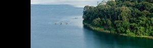 2-Day Lake Kivu and Nyungwe National Park Tour