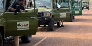 3-Day Rwanda Gorilla Trekking