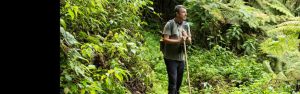 3-Day Trek Golden Monkey in Rwanda and Bisoke Hike Tour