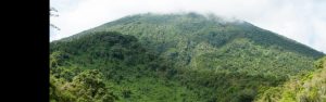 4-Day Mount Bisoke Hike and Bwindi Gorilla Trekking Tour