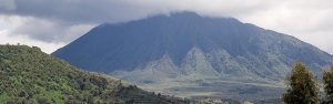 4-Day Rwanda Adventure Trekking and Golden Monkey Safari
