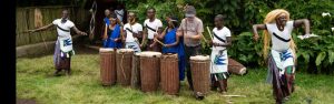 5-Day Rwanda Wildlife and Uganda Gorillas Experience