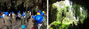 5 Days Volcanoes and Lake Kivu Tour
