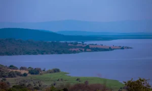 7 Days Akagera Wildlife and Nyungwe Chimpanzee Trekking Safari