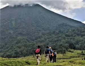 7 Days Rwanda Wildlife, Bisoke Hike and Gorilla Trekking Safari