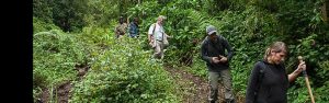 8-Day African Safari Holiday Visiting Rwanda and Uganda