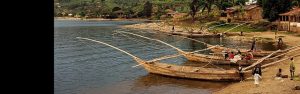 8-Day Rwanda Ultimate Wildlife & Primate Tour