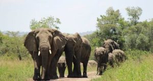 8 Days Explore Rwanda Tour Premium