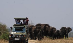 8 Days Rwanda Safari